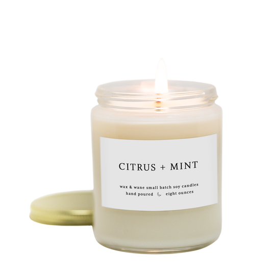 Citrus + Mint Modern Soy Candle (Copy)